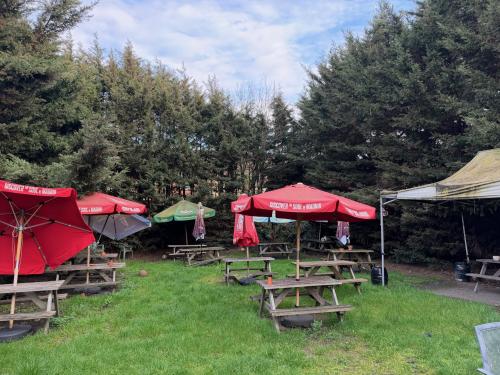 The Orange Tree, 18 Highfield Road, Winchmore Hill, London, N21