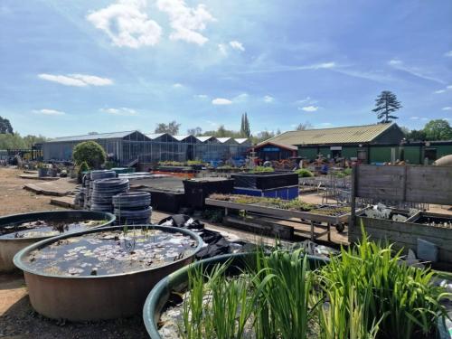 Garden Centre, Wildmoor Lane, Sherfield On Loddon, Hook, RG27