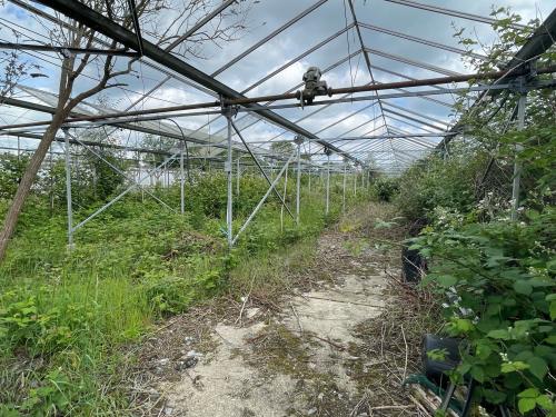 Little Farm Nurseries, North Town Moor, Maidenhead, SL6