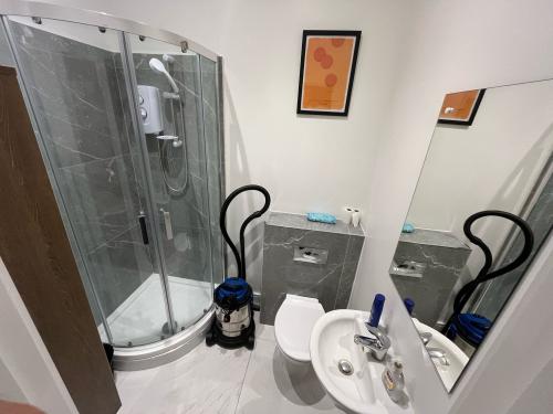 50 Leytonstone Road, Stratford City, London, E15