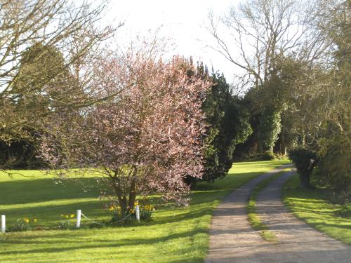 Withern Mill, Church Lane, Withern, Alford, LN13