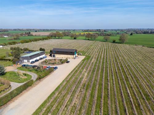 Chet Valley Vineyard, Loddon Road, Bergh Apton, Norwich, NR15