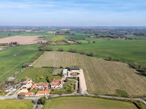 Chet Valley Vineyard, Loddon Road, Bergh Apton, Norwich, NR15