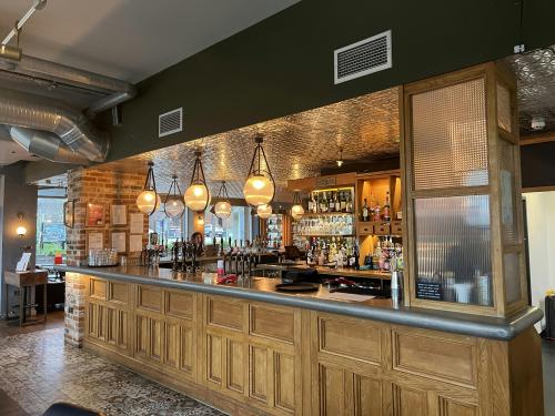 The Naturalist, 14 Woodberry Down, Manor House, London, N4
