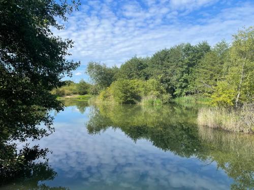Barnstone Lakes, Langar, NG13