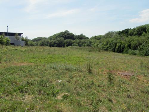 Main Site, Queensway Avenue South, St Leonards, TN38