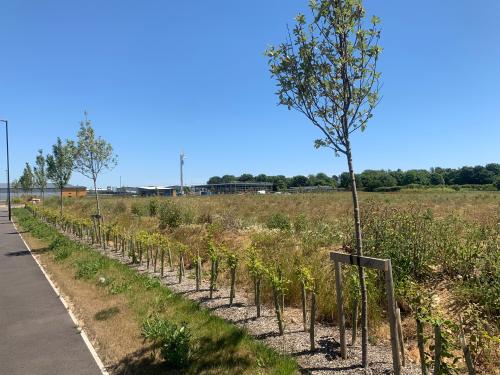 Trade City, Saltbox Business Park, Shripney Road, Shripney, Bognor Regis, PO22