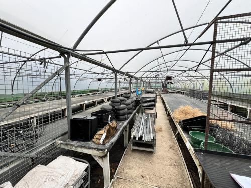 Tawny Nursery, Bell Lane, Birdham, Chichester, PO20