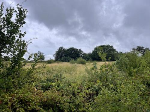 Cartwright Way, Coalville Station, Coalville, LE67
