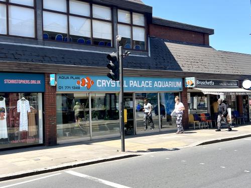 54 Westow Street, Upper Norwood, London, SE19