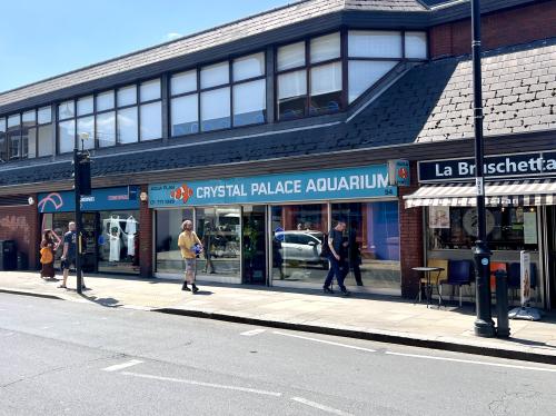 54 Westow Street, Upper Norwood, London, SE19