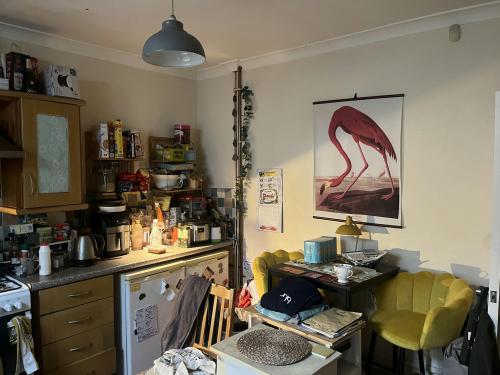 17-17a Crookes, Sheffield, S10