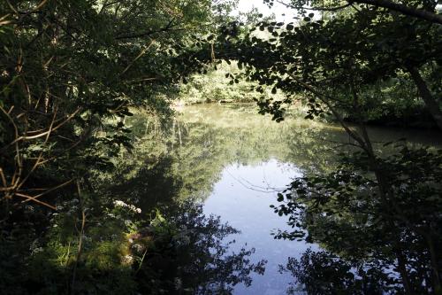 Strawberry Field Fishery, Hawkenbury Road, Tunbridge Wells, TN3