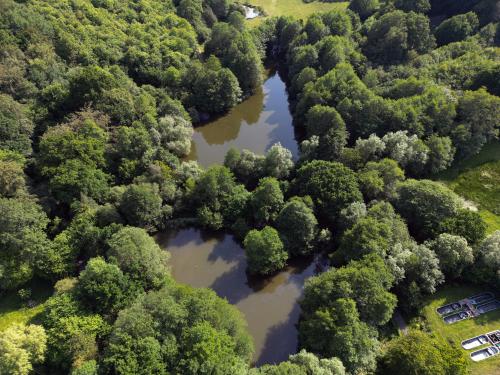 Strawberry Field Fishery, Hawkenbury Road, Tunbridge Wells, TN3