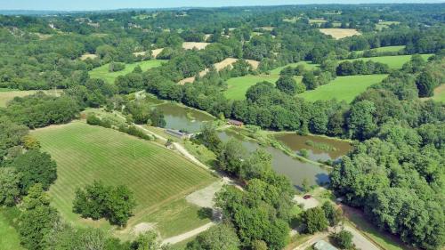 Latchetts Lakes, Tanyard Lane, Furners Green, Uckfield, TN22