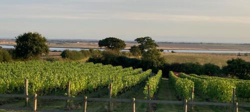 Hall Farm Cottages & Barn, Chelmsford, Althorne, CM3