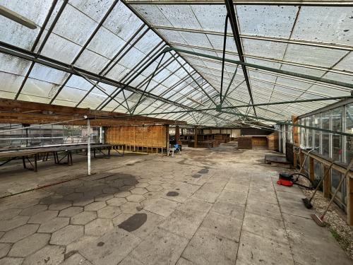 Shopwhyke Nurseries, Shopwhyke Road, Chichester, PO20