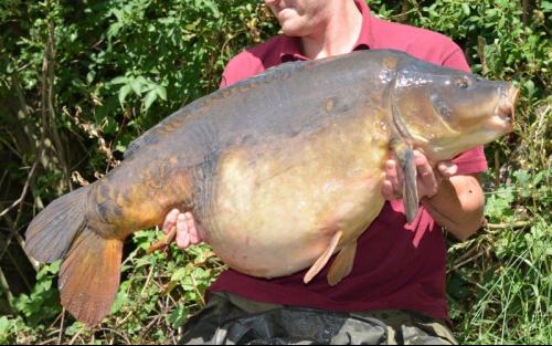 Licensees sought for Angling Portfolio, Lee Valley Regional Park, Bulls Cross, Waltham Cross, Enfield, EN2
