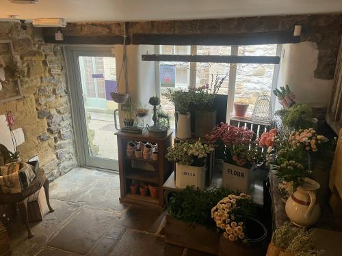 Treeline Gallery, Diamond Court, Water Street, Bakewell, DE45