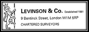 Levinson & Co